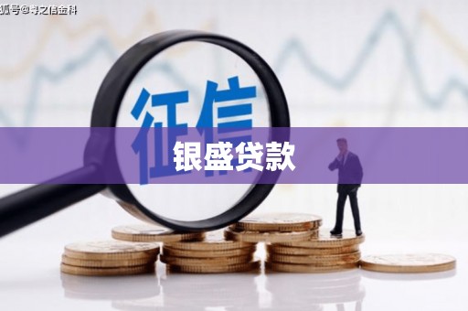 双柏银盛贷款