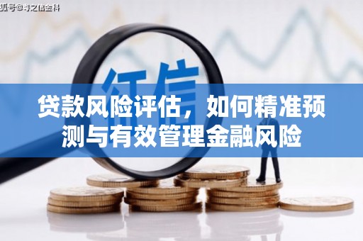 双柏贷款风险评估，如何精准预测与有效管理金融风险