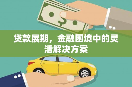 双柏贷款展期，金融困境中的灵活解决方案