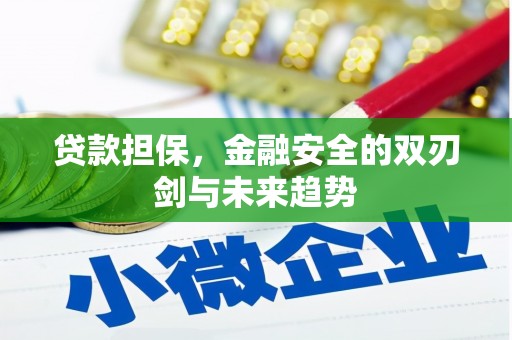 双柏贷款担保，金融安全的双刃剑与未来趋势