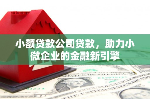 双柏小额贷款公司贷款，助力小微企业的金融新引擎