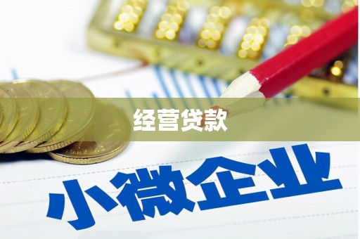 双柏经营贷款