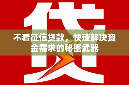 双柏不看征信贷款，快速解决资金需求的秘密武器