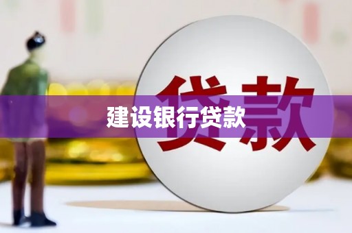 双柏建设银行贷款
