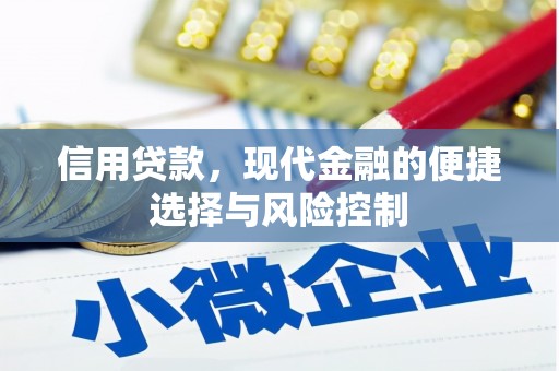 双柏信用贷款，现代金融的便捷选择与风险控制