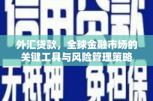 双柏外汇贷款，全球金融市场的关键工具与风险管理策略