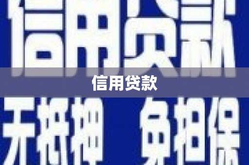 双柏信用贷款