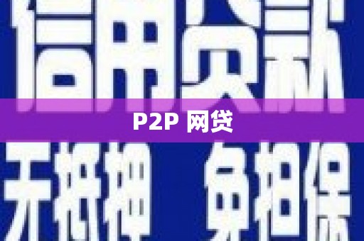 双柏P2P 网贷