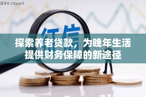 双柏探索养老贷款，为晚年生活提供财务保障的新途径