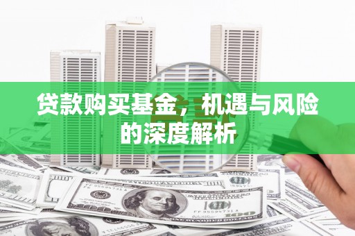 双柏贷款购买基金，机遇与风险的深度解析