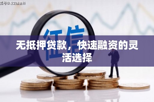 双柏无抵押贷款，快速融资的灵活选择