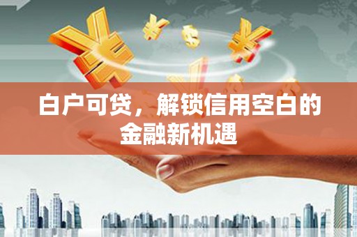 双柏白户可贷，解锁信用空白的金融新机遇