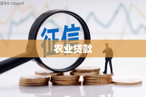 双柏农业贷款