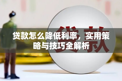 双柏贷款怎么降低利率，实用策略与技巧全解析