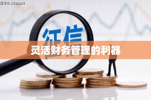 双柏灵活财务管理的利器