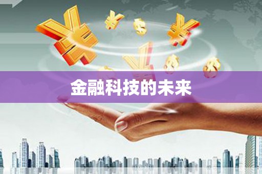 双柏金融科技的未来