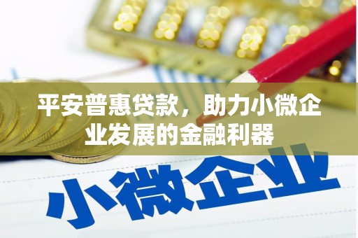 双柏平安普惠贷款，助力小微企业发展的金融利器