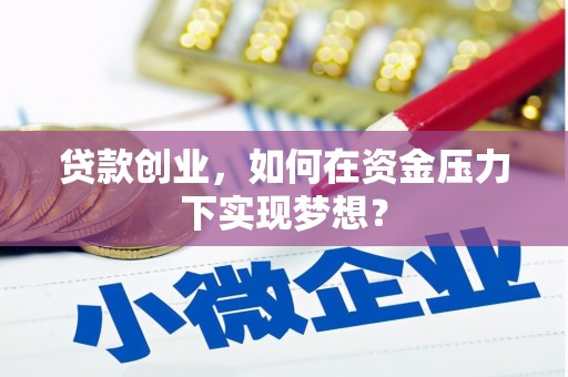 双柏贷款创业，如何在资金压力下实现梦想？