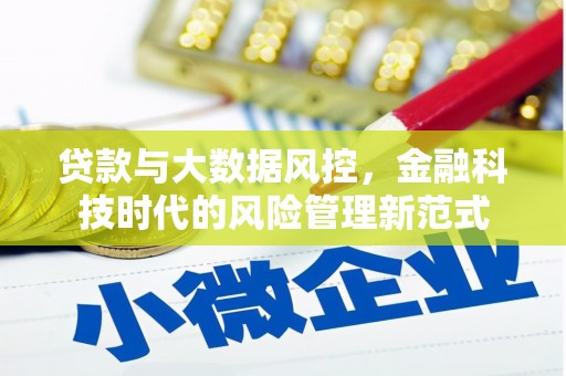 双柏贷款与大数据风控，金融科技时代的风险管理新范式