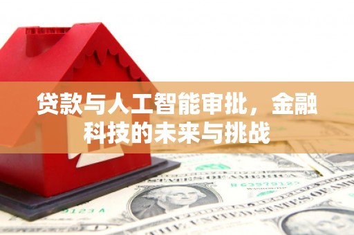 双柏贷款与人工智能审批，金融科技的未来与挑战