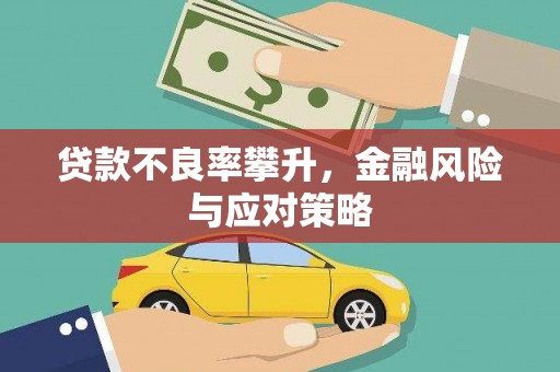 双柏贷款不良率攀升，金融风险与应对策略