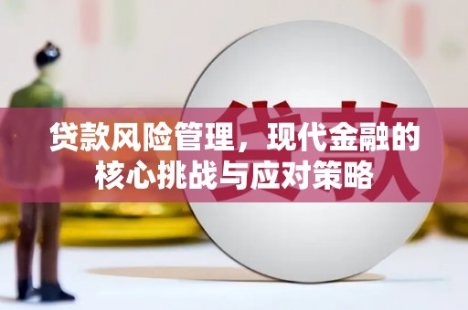 双柏贷款风险管理，现代金融的核心挑战与应对策略