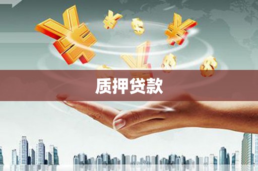 双柏质押贷款