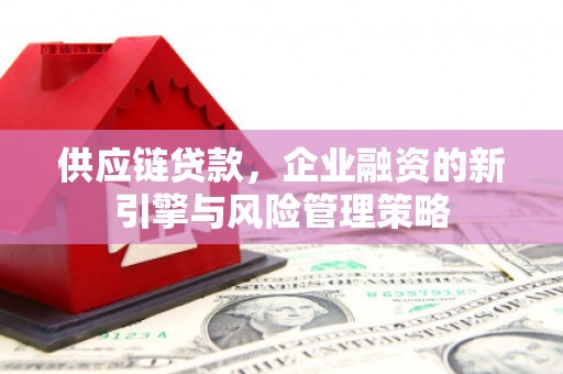 双柏供应链贷款，企业融资的新引擎与风险管理策略