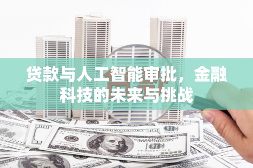 双柏贷款与人工智能审批，金融科技的未来与挑战