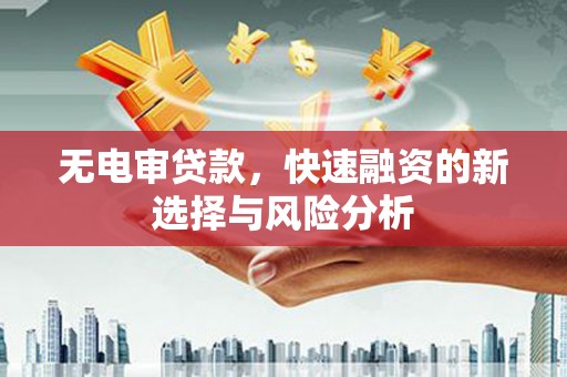 双柏无电审贷款，快速融资的新选择与风险分析
