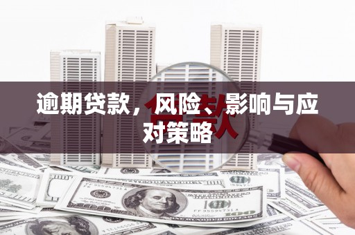 双柏逾期贷款，风险、影响与应对策略