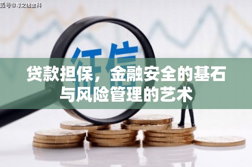 双柏贷款担保，金融安全的基石与风险管理的艺术