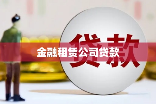 双柏金融租赁公司贷款