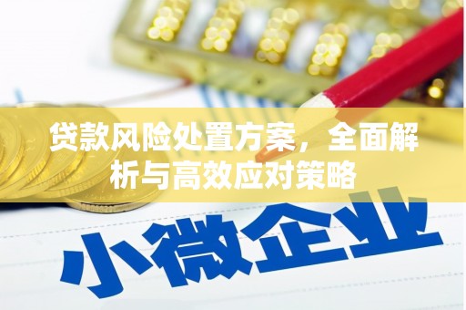双柏贷款风险处置方案，全面解析与高效应对策略