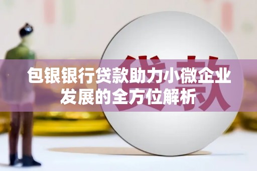 双柏包银银行贷款助力小微企业发展的全方位解析