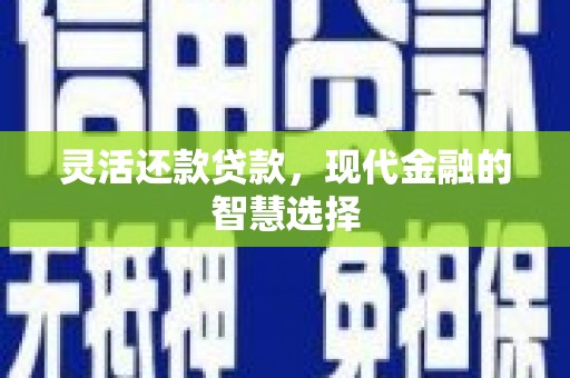 双柏灵活还款贷款，现代金融的智慧选择
