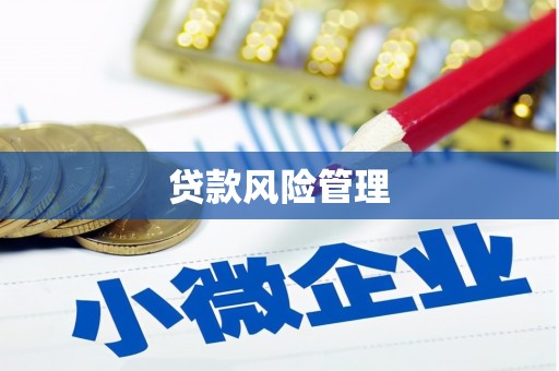 双柏贷款风险管理