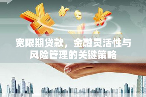 双柏宽限期贷款，金融灵活性与风险管理的关键策略