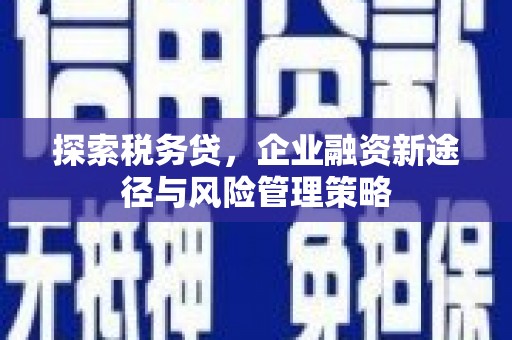 双柏探索税务贷，企业融资新途径与风险管理策略