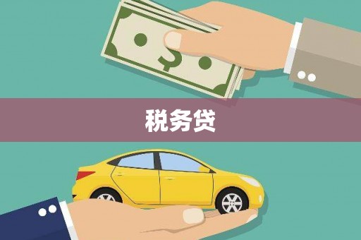 双柏税务贷