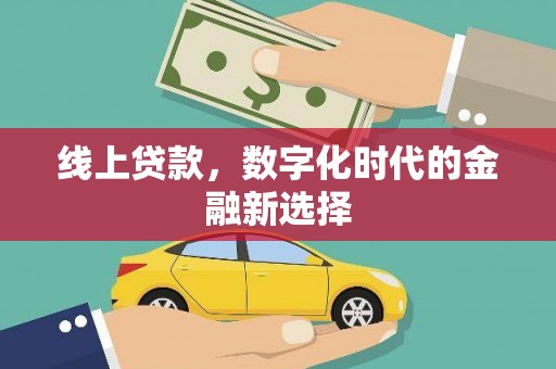 双柏线上贷款，数字化时代的金融新选择