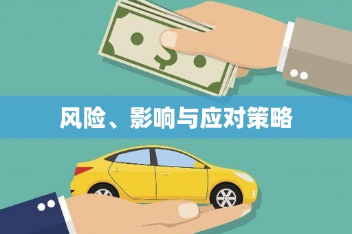 双柏风险、影响与应对策略