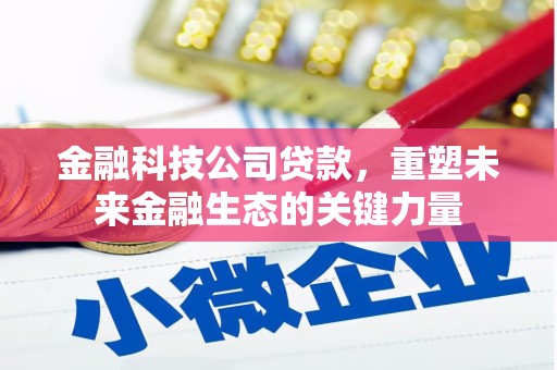 双柏金融科技公司贷款，重塑未来金融生态的关键力量
