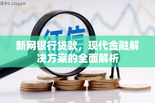 双柏新网银行贷款，现代金融解决方案的全面解析