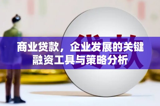 双柏商业贷款，企业发展的关键融资工具与策略分析