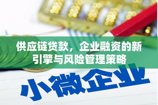 双柏供应链贷款，企业融资的新引擎与风险管理策略