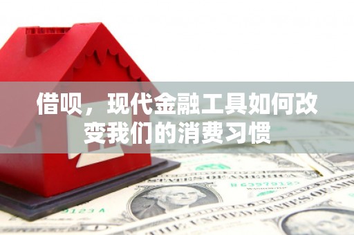 双柏借呗，现代金融工具如何改变我们的消费习惯