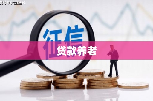双柏贷款养老