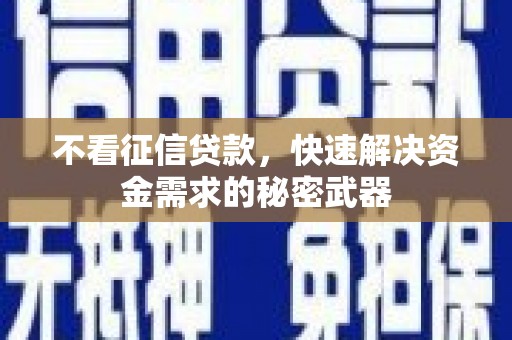 双柏不看征信贷款，快速解决资金需求的秘密武器