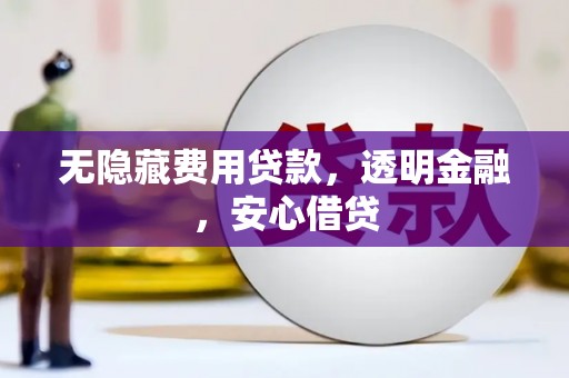 双柏无隐藏费用贷款，透明金融，安心借贷